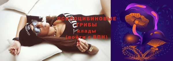 винт Богданович