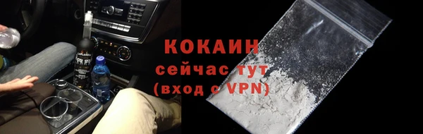 винт Богданович