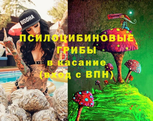 винт Богданович