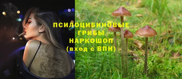 винт Богородск