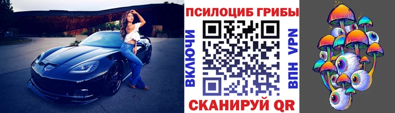 сколько стоит  Вольск  Галлюциногенные грибы прущие грибы 